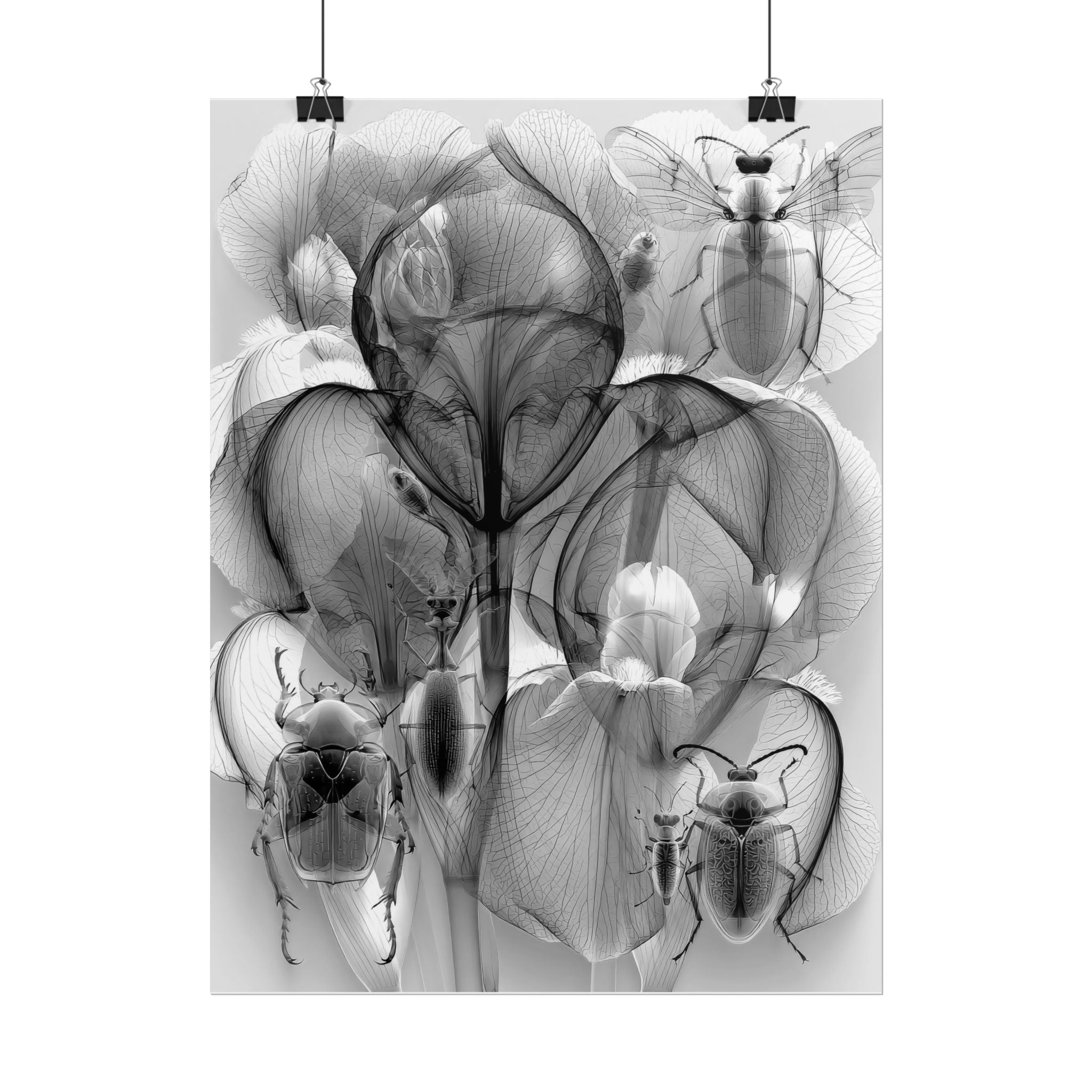 Orchid X-Ray Art Poster — Monochrome Floral Insect Wall Print