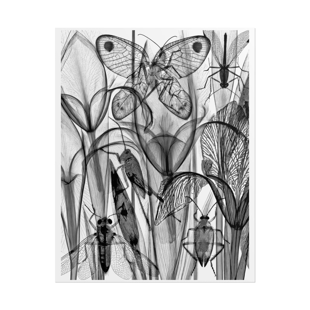 Monochrome Botanical Insects Rolled Poster — X-Ray Style Nature Art Print