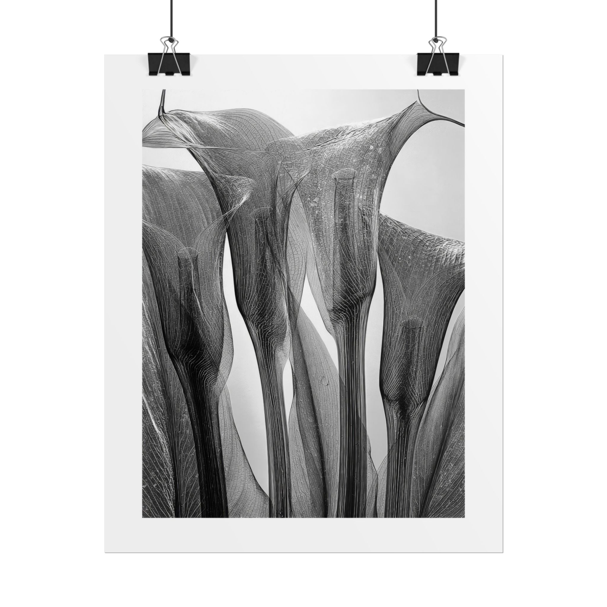 Abstract Botanical Poster — Black & White Calla Lily Photography (Rolled Poster)