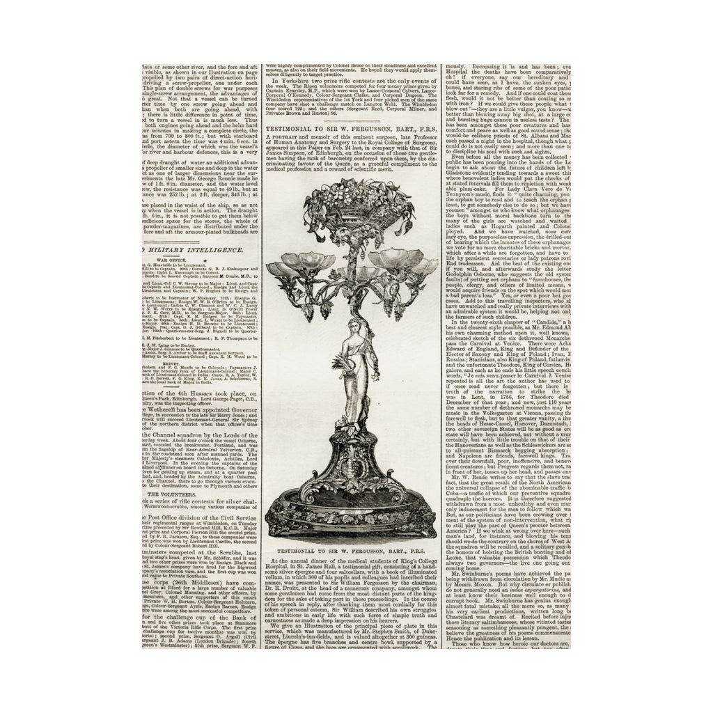 Vintage Botanical Dictionary Poster — Matte Vertical Wall Art