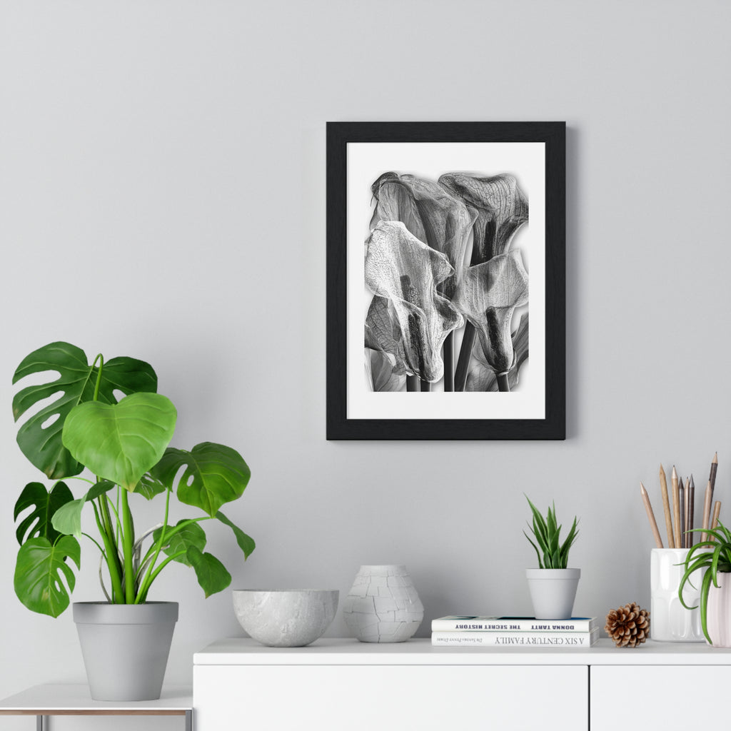 Black & White Calla Lily Framed Poster