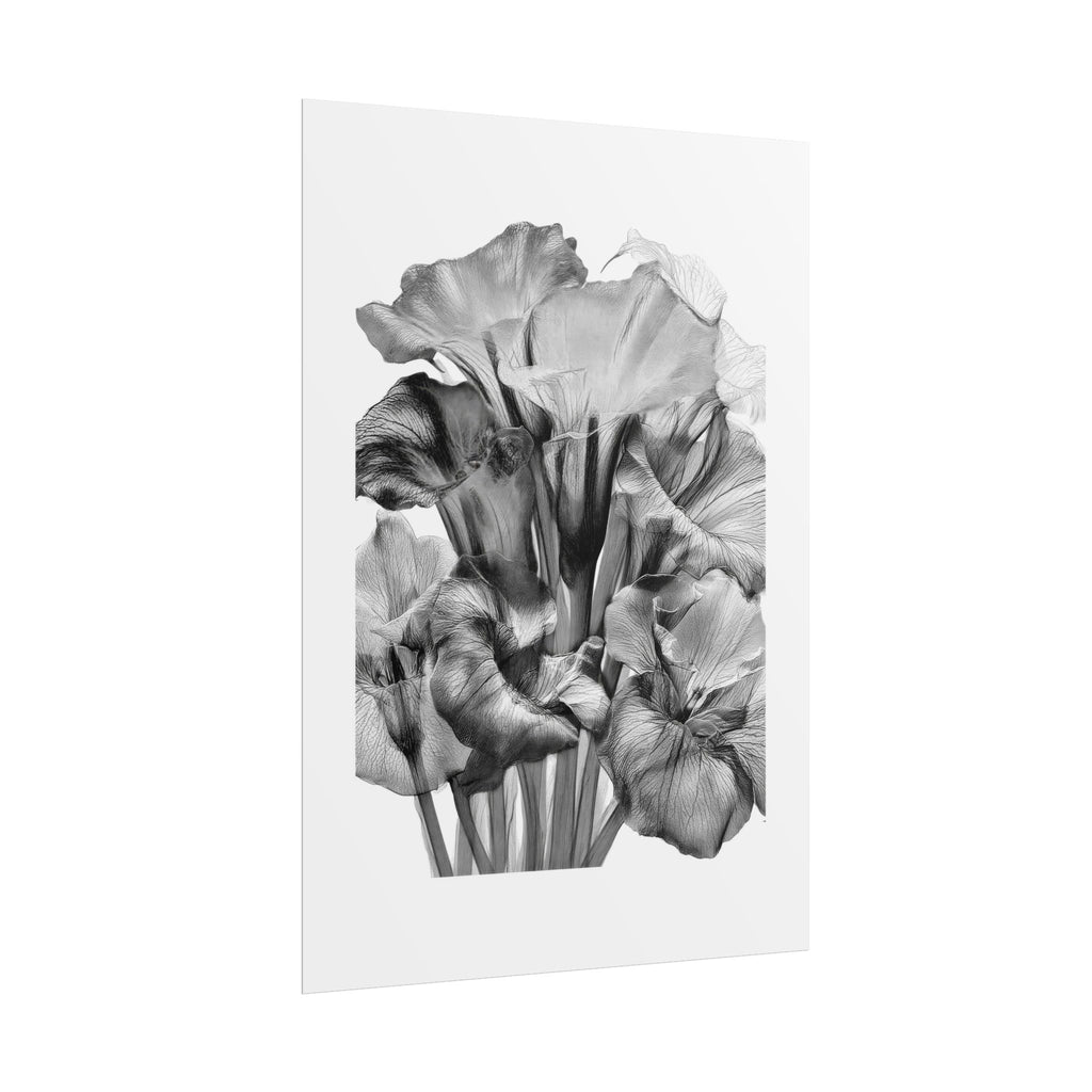 Black & White Iris Botanical Poster — Monochrome Floral Wall Art (Rolled Poster)