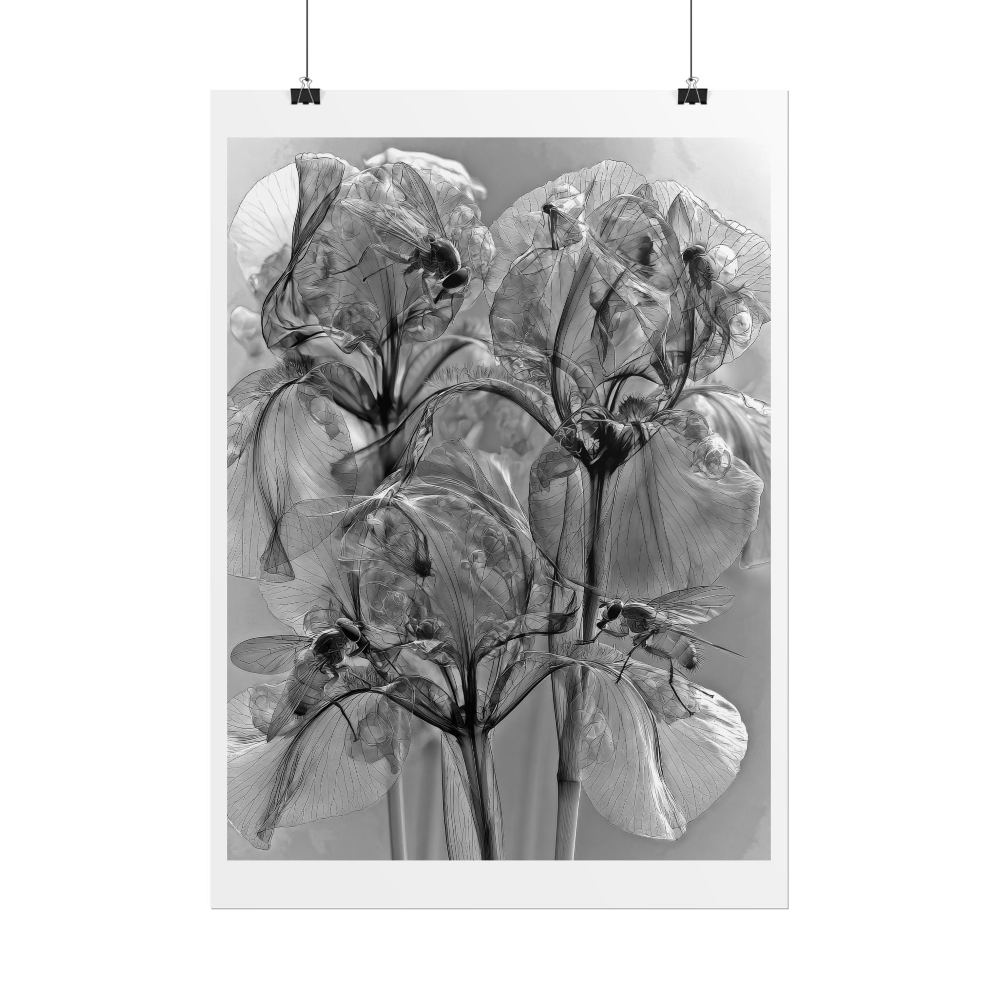 Rolled Poster — Monochrome X-Ray Floral Art Print