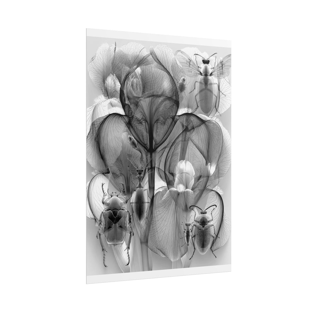 Orchid X-Ray Art Poster — Monochrome Floral Insect Wall Print