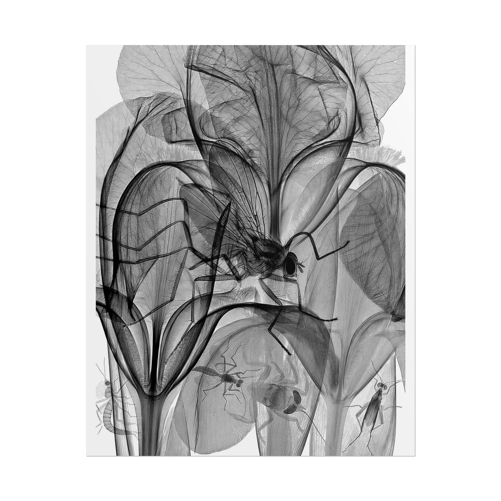Botanical X-Ray Art Poster — Monochrome Floral Rolled Print