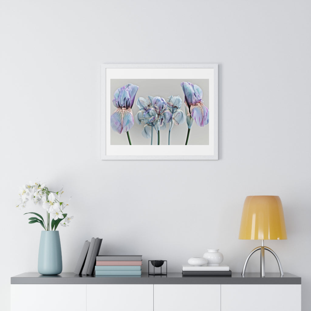 Iridescent Iris Floral Framed Poster — Horizontal Wall Art Print