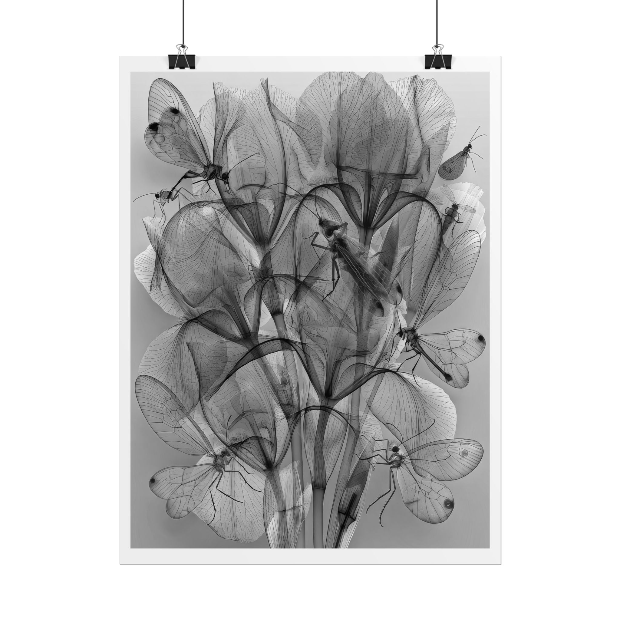 Botanical X-Ray Poster — Monochrome Floral Wall Art, Rolled Art Print