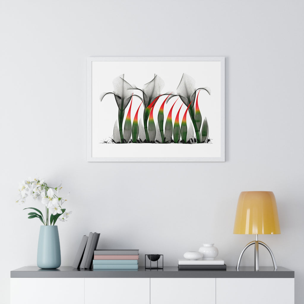 Framed Poster - Abstract Botanical Calla Lily Art with Red & Green Accents