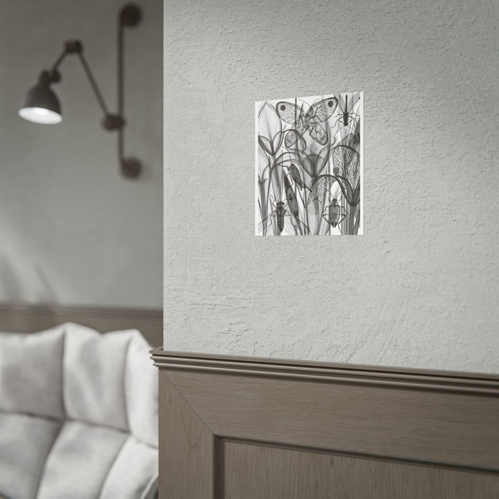Botanical Insect X‑Ray Rolled Poster — Monochrome Moths & Beetles Art Print