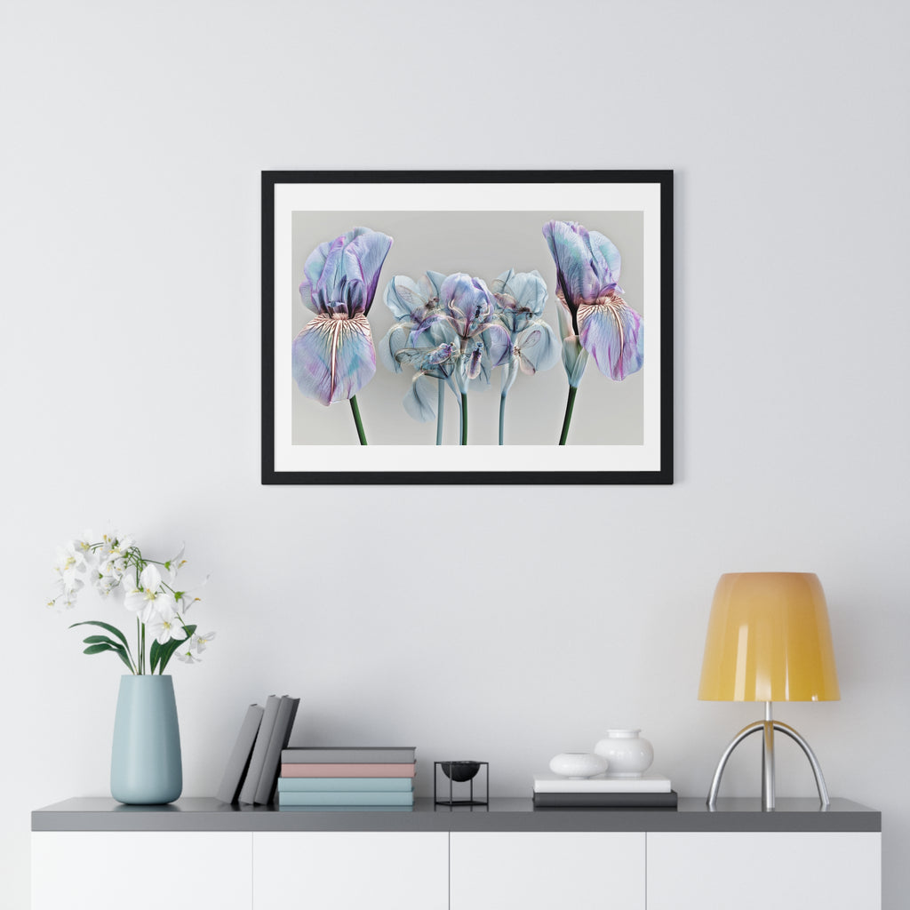 Iridescent Iris Floral Framed Poster — Horizontal Wall Art Print