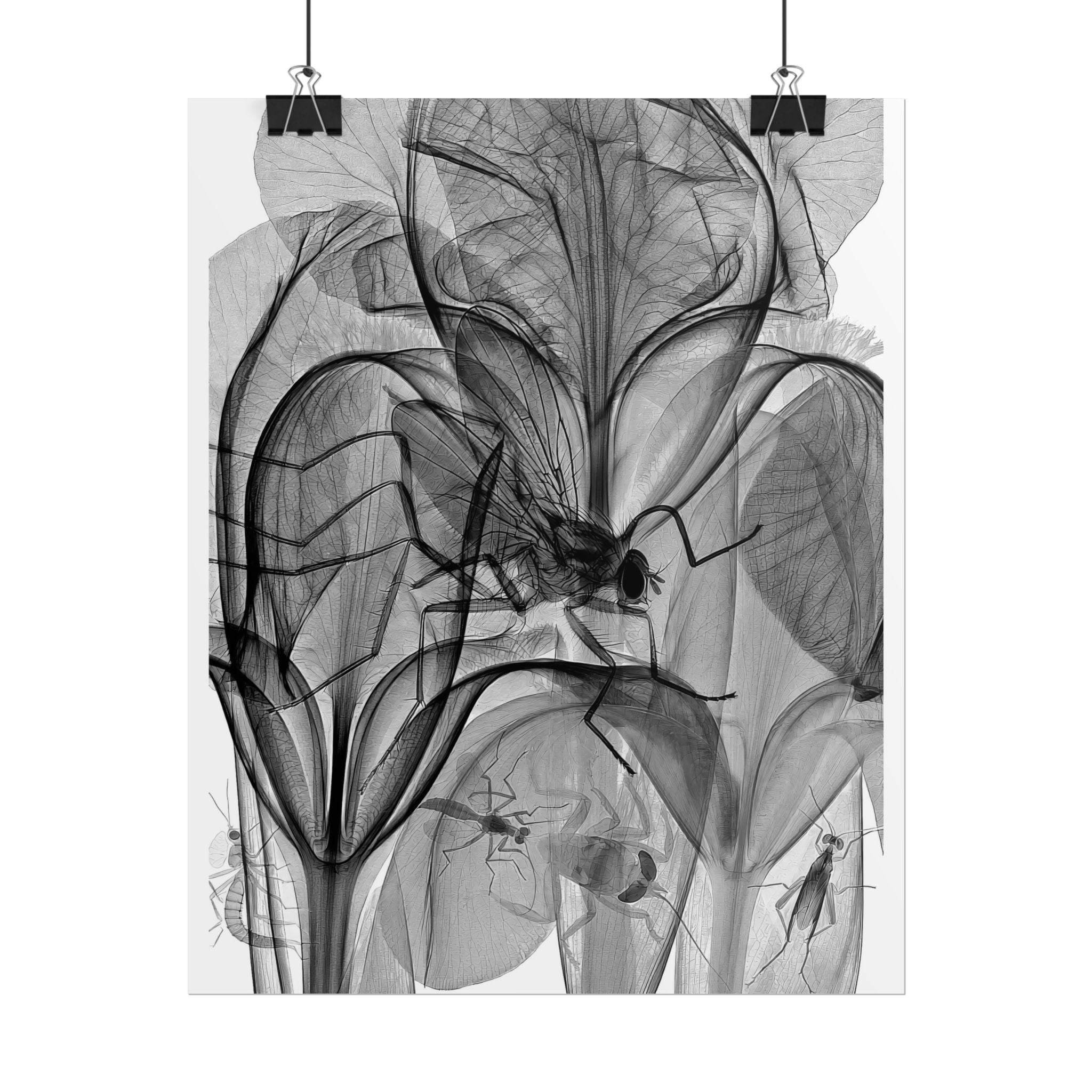 Botanical X-Ray Art Poster — Monochrome Floral Rolled Print