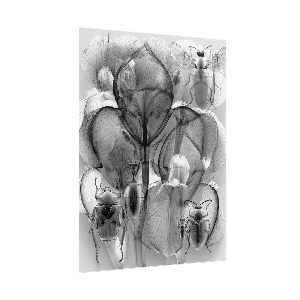 Orchid X-Ray Art Poster — Monochrome Floral Insect Wall Print