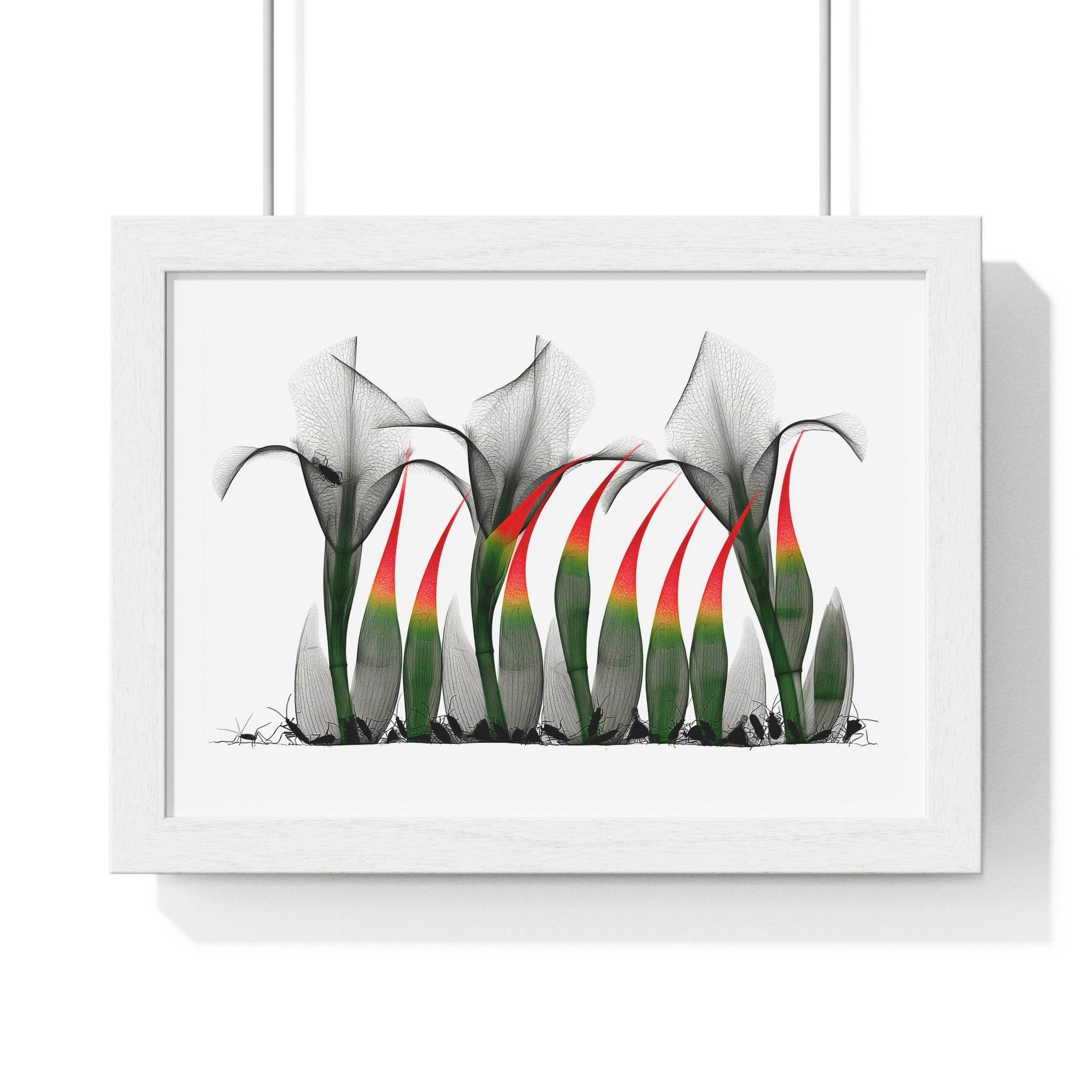 Framed Poster - Abstract Botanical Calla Lily Art with Red & Green Accents