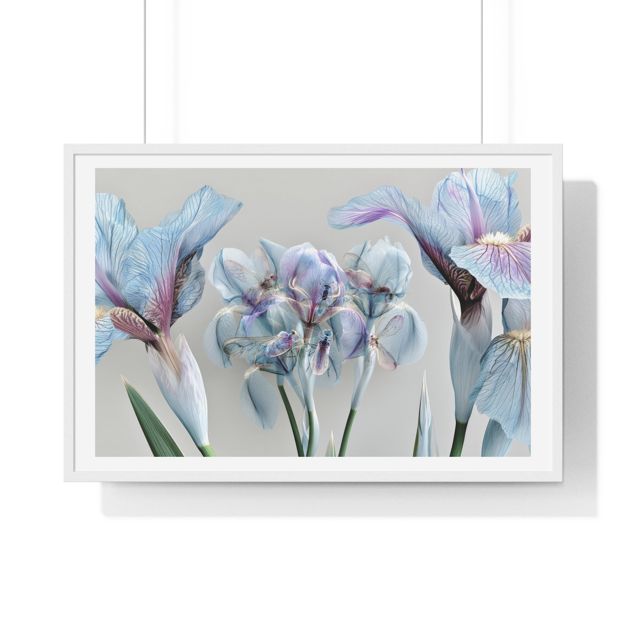 Botanical Iris Framed Poster — Soft Blue Floral Wall Art (Horizontal)
