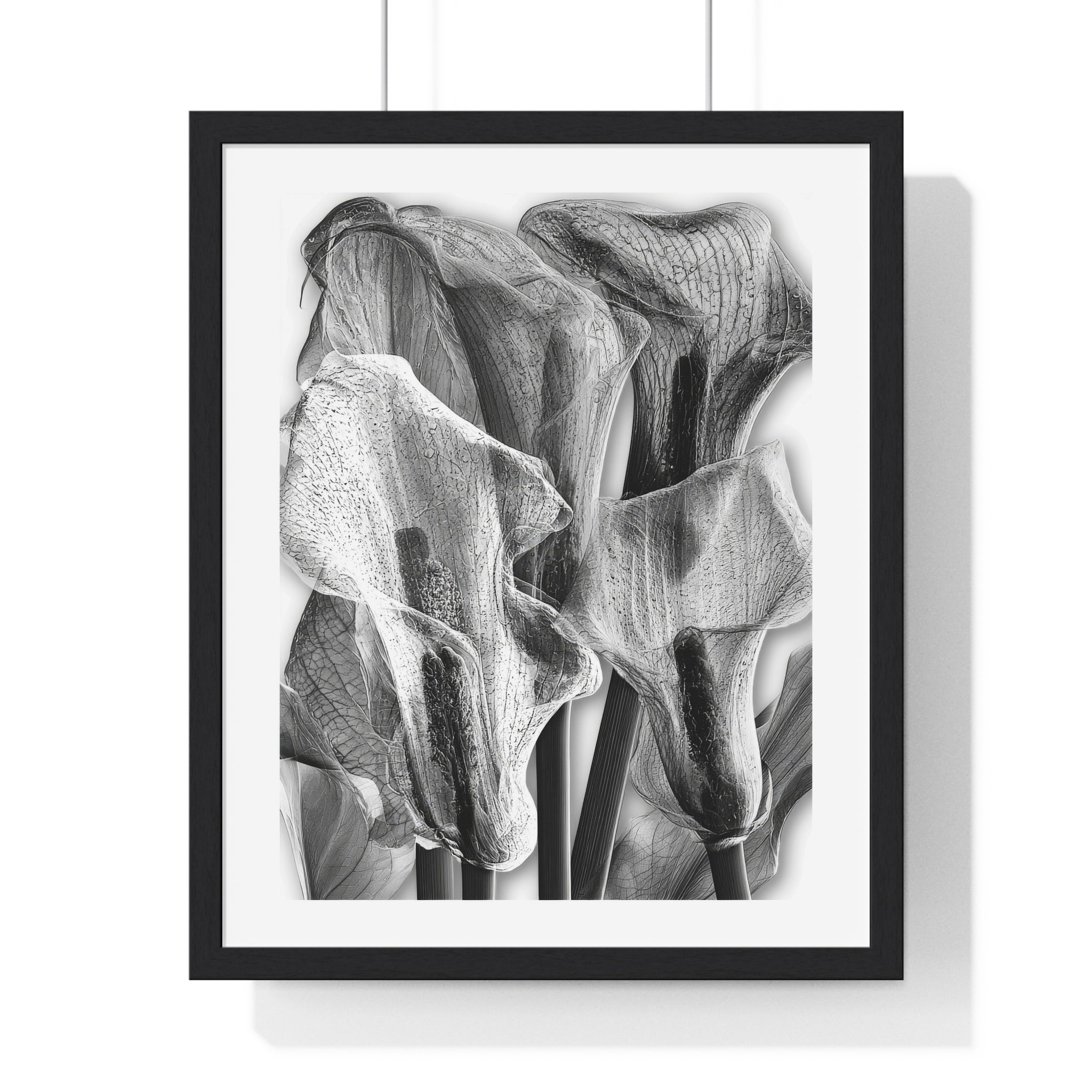 Black & White Calla Lily Framed Poster