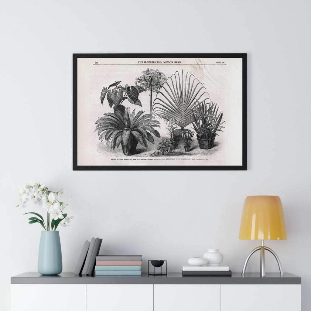 Vintage Botanical Print Framed Poster — Antique Plant Illustration