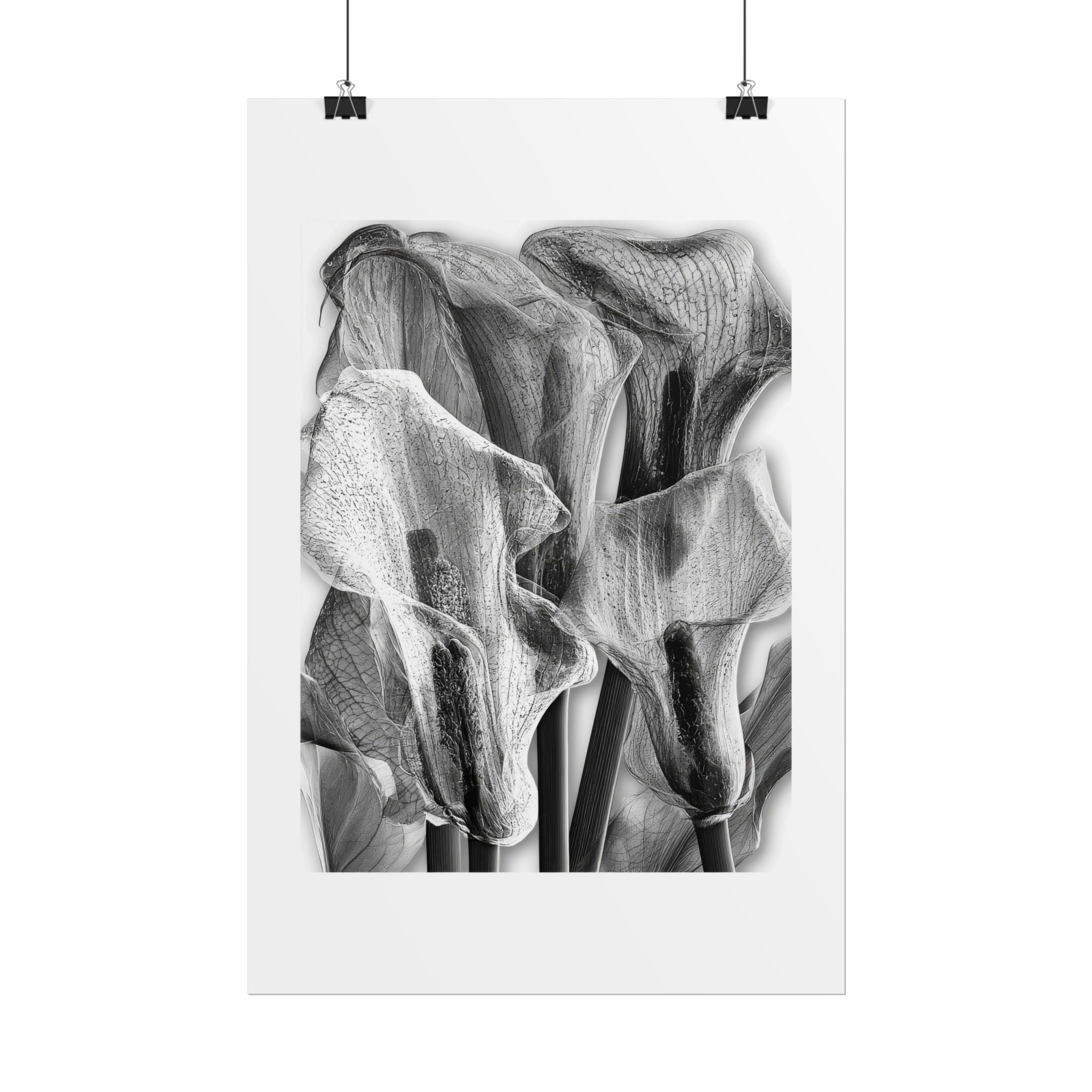 Black & White Calla Lily Poster — Minimal Floral Wall Art, Rolled Art Print for Living Room & Bedroom