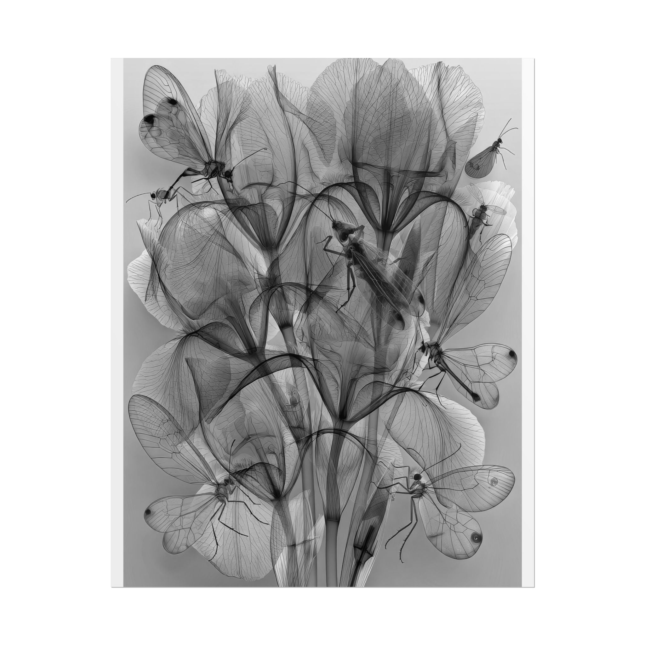 Botanical X-Ray Poster — Monochrome Floral Wall Art, Rolled Art Print