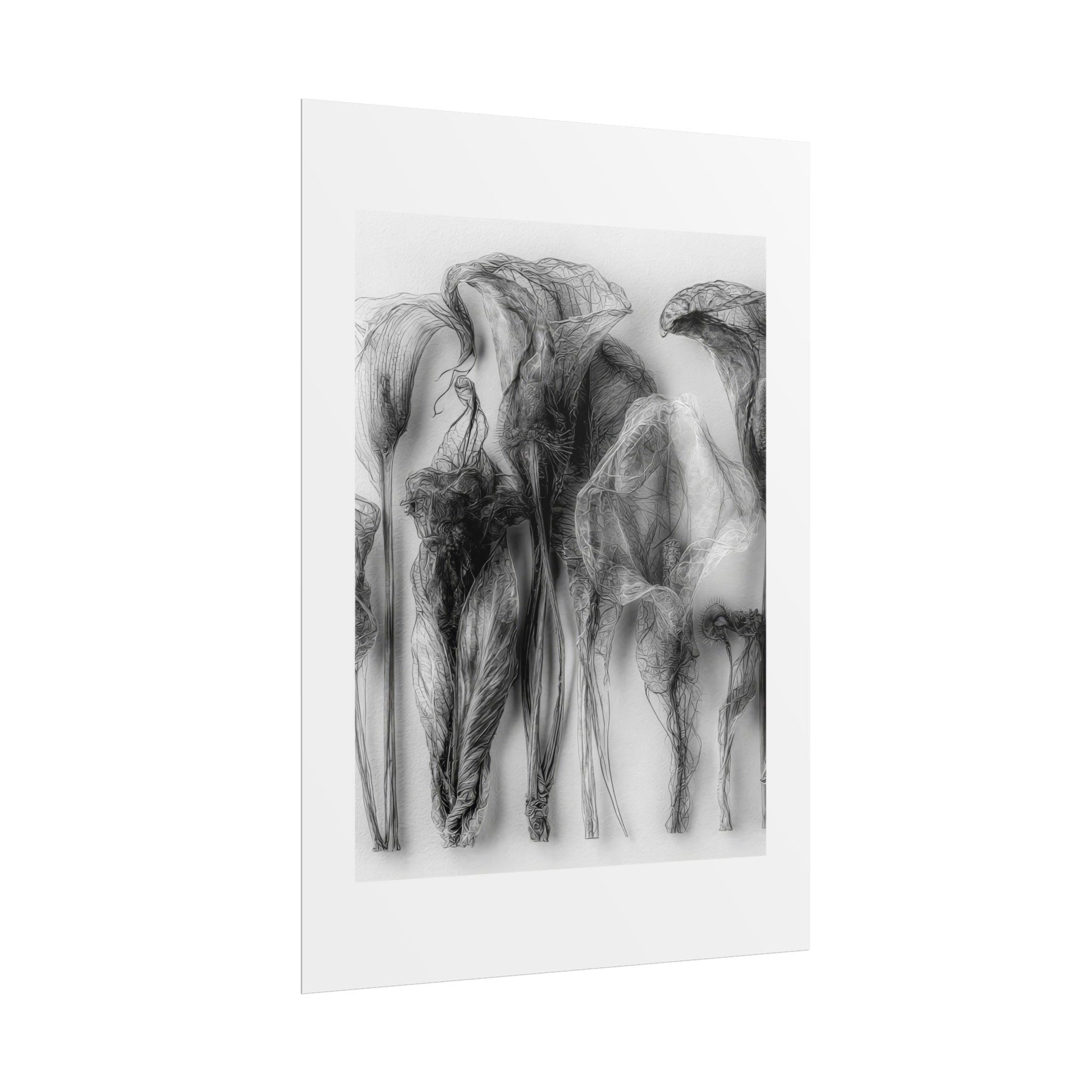 Abstract Smoke Floral Poster — Black & White Botanical Wall Art (Rolled Poster)