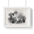 Vintage Botanical Print Framed Poster — Antique Plant Illustration