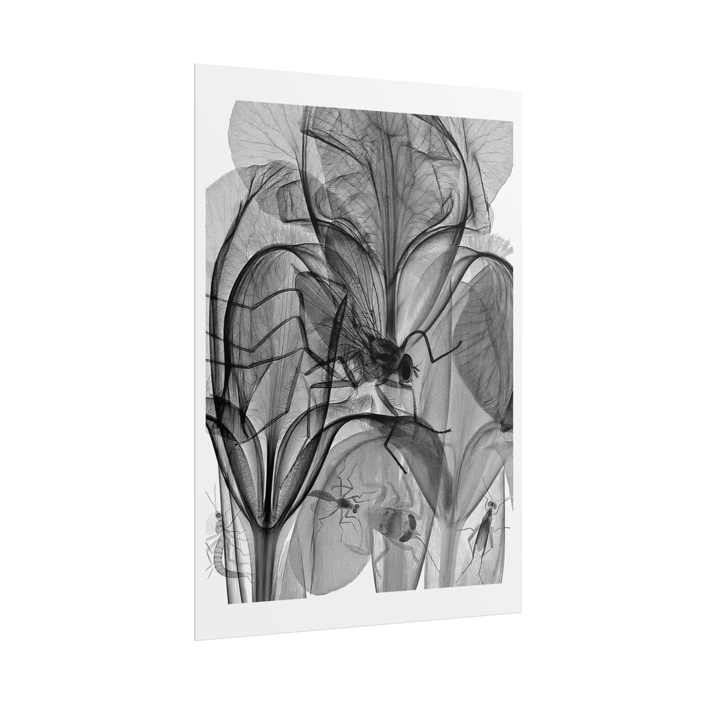 Botanical X-Ray Art Poster — Monochrome Floral Rolled Print