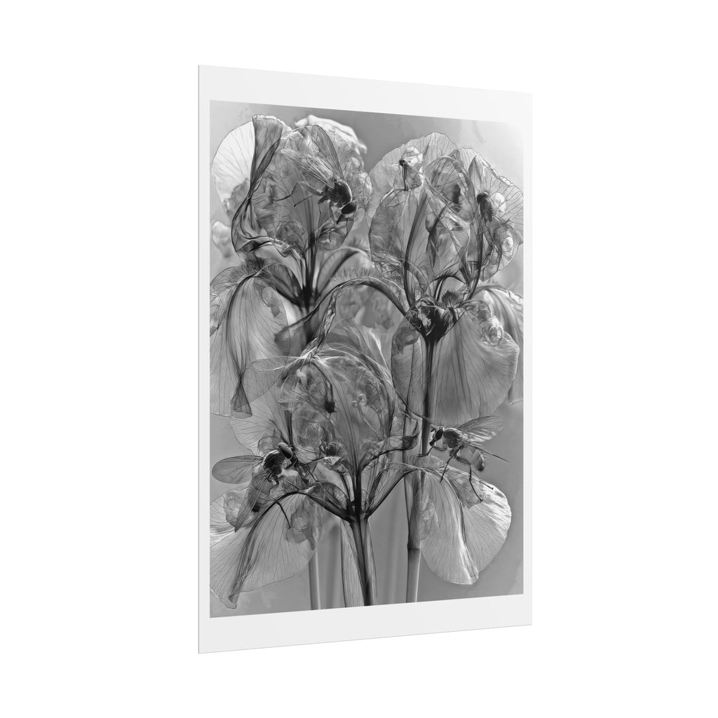 Rolled Poster — Monochrome X-Ray Floral Art Print