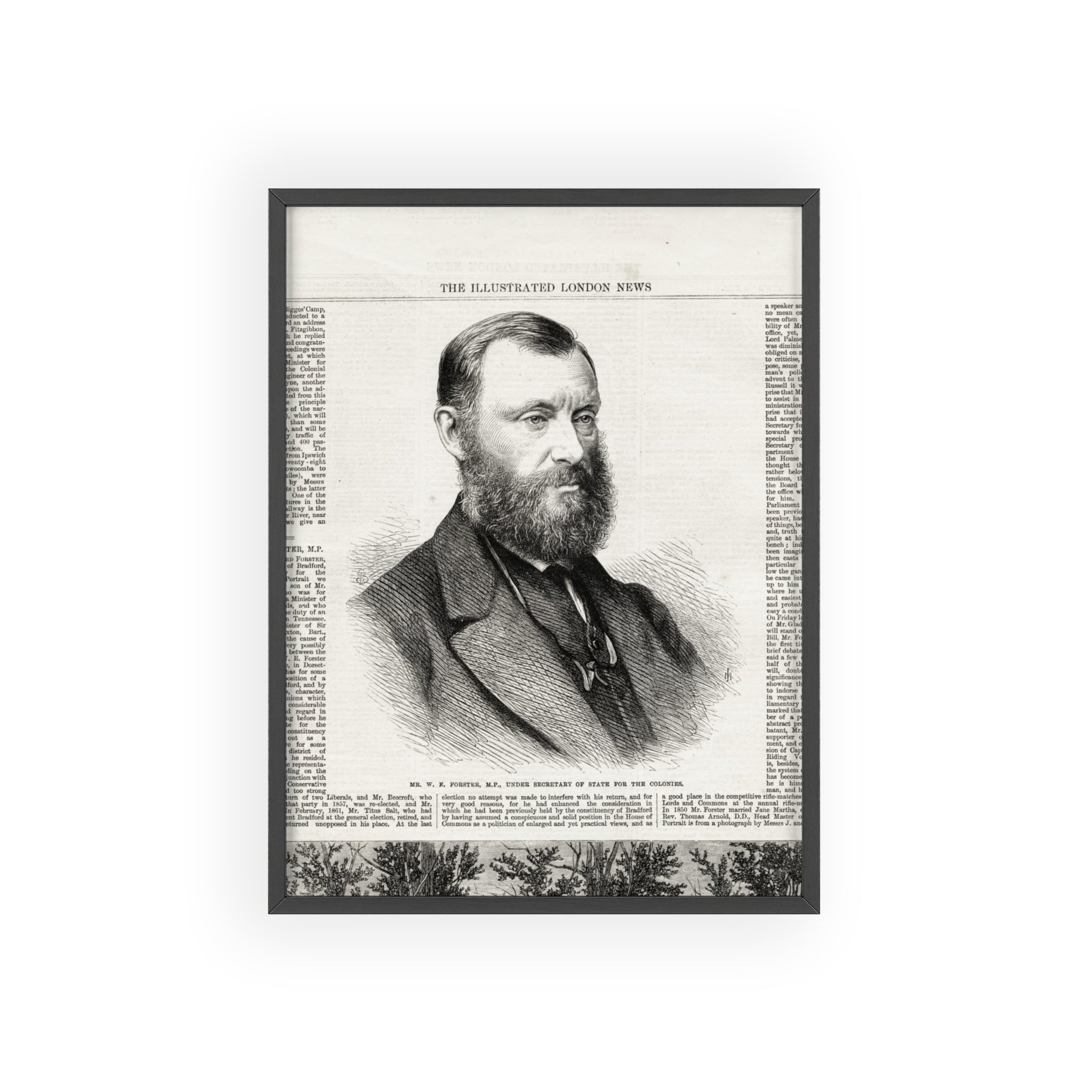 W. E. Forster, MP.  Under Secreatry of State for the Colonies.  Framed Vintage Portrait Poster — Antique Illustrated London News Print