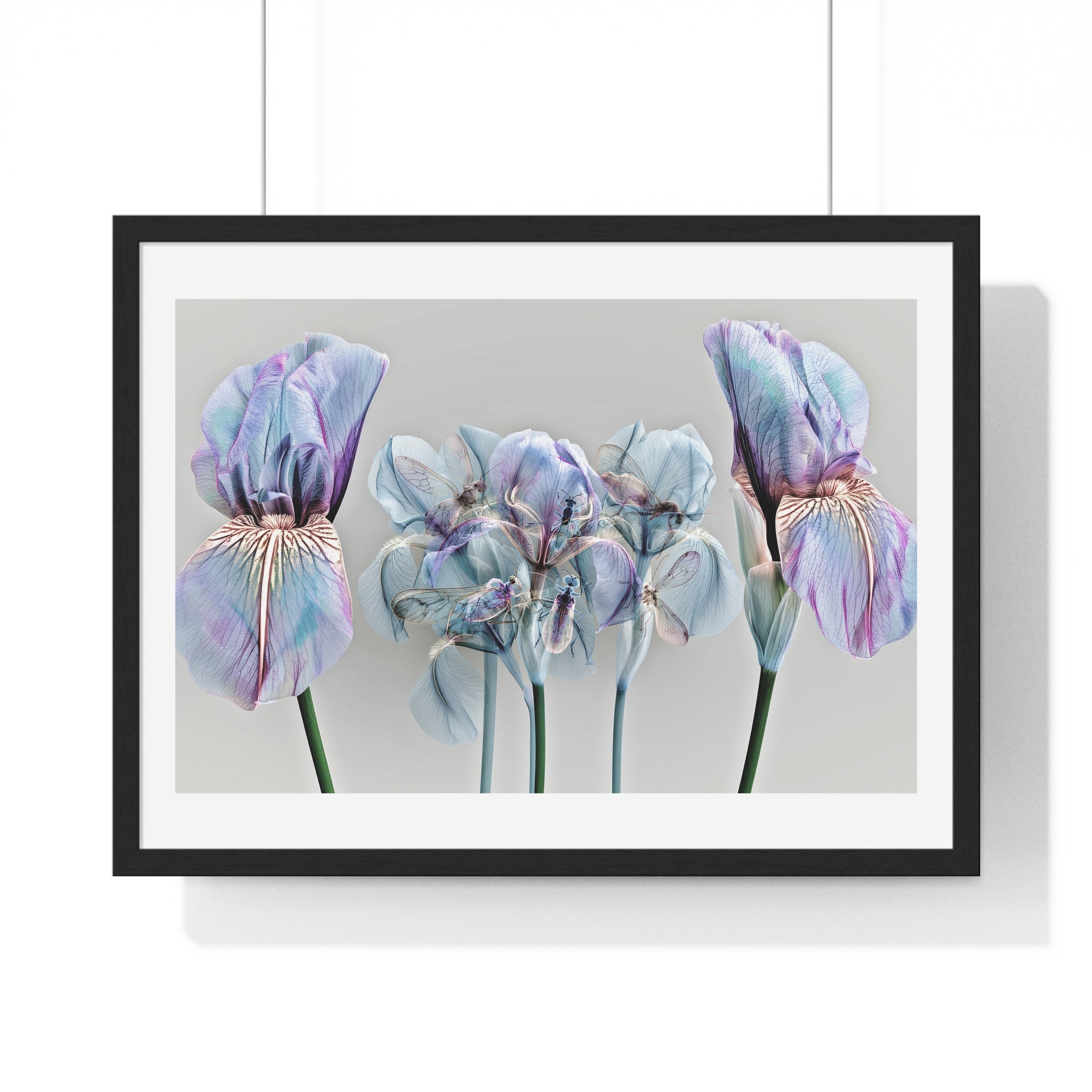 Iridescent Iris Floral Framed Poster — Horizontal Wall Art Print