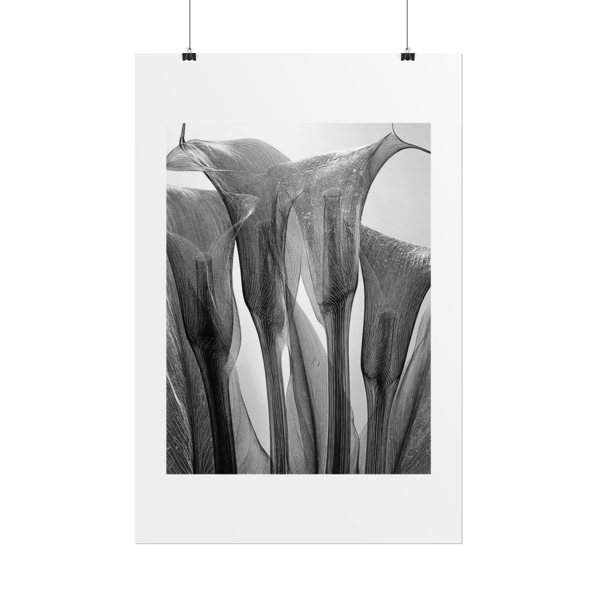 Abstract Botanical Poster — Black & White Calla Lily Photography (Rolled Poster)