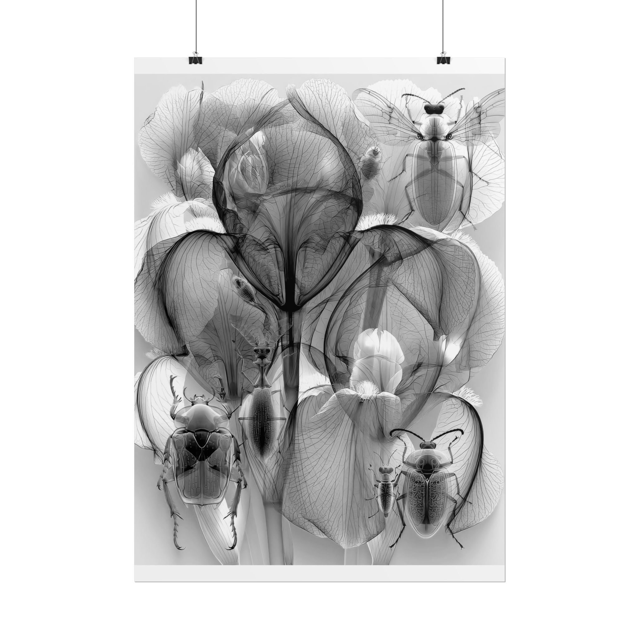 Orchid X-Ray Art Poster — Monochrome Floral Insect Wall Print