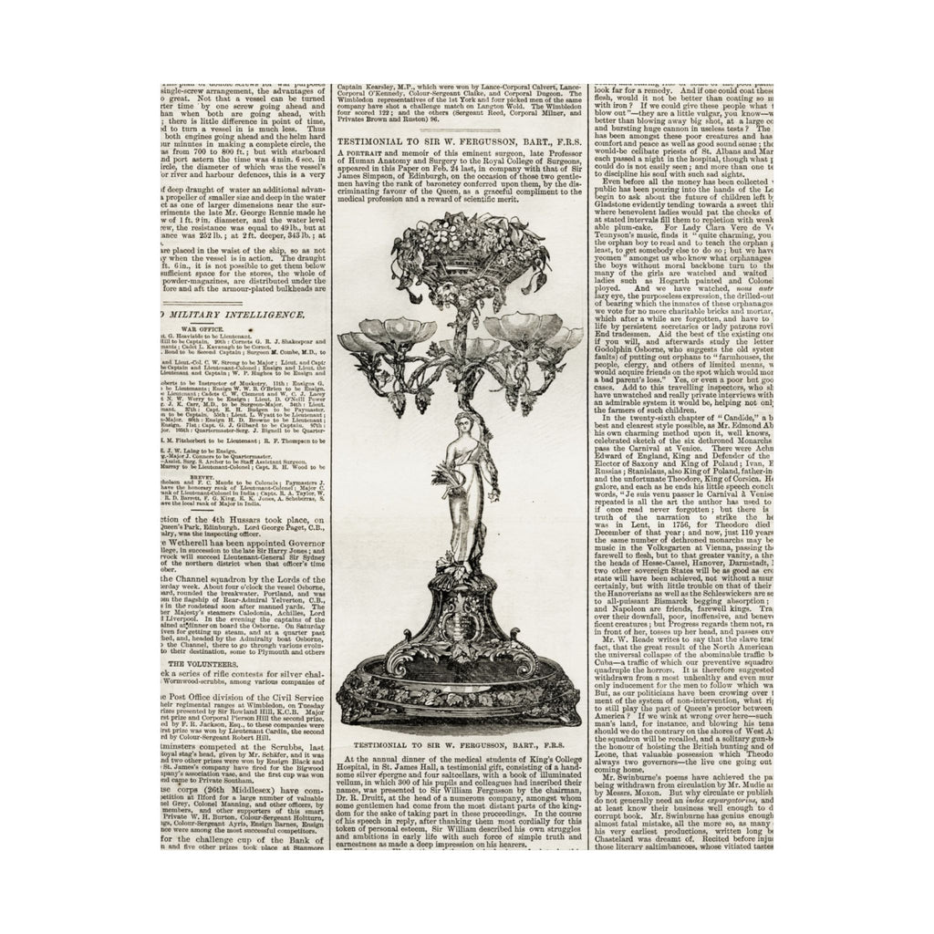 Vintage Botanical Dictionary Poster — Matte Vertical Wall Art