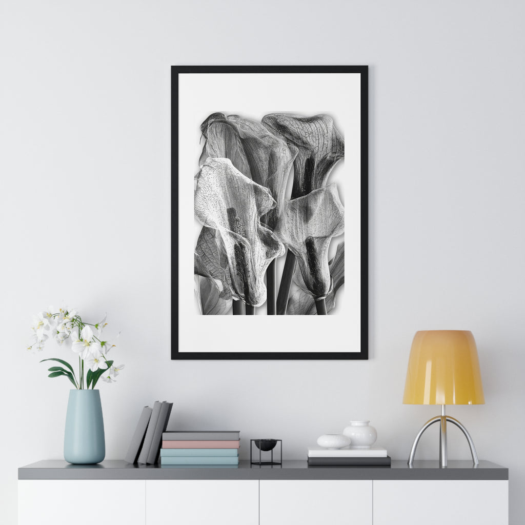 Black & White Calla Lily Framed Poster