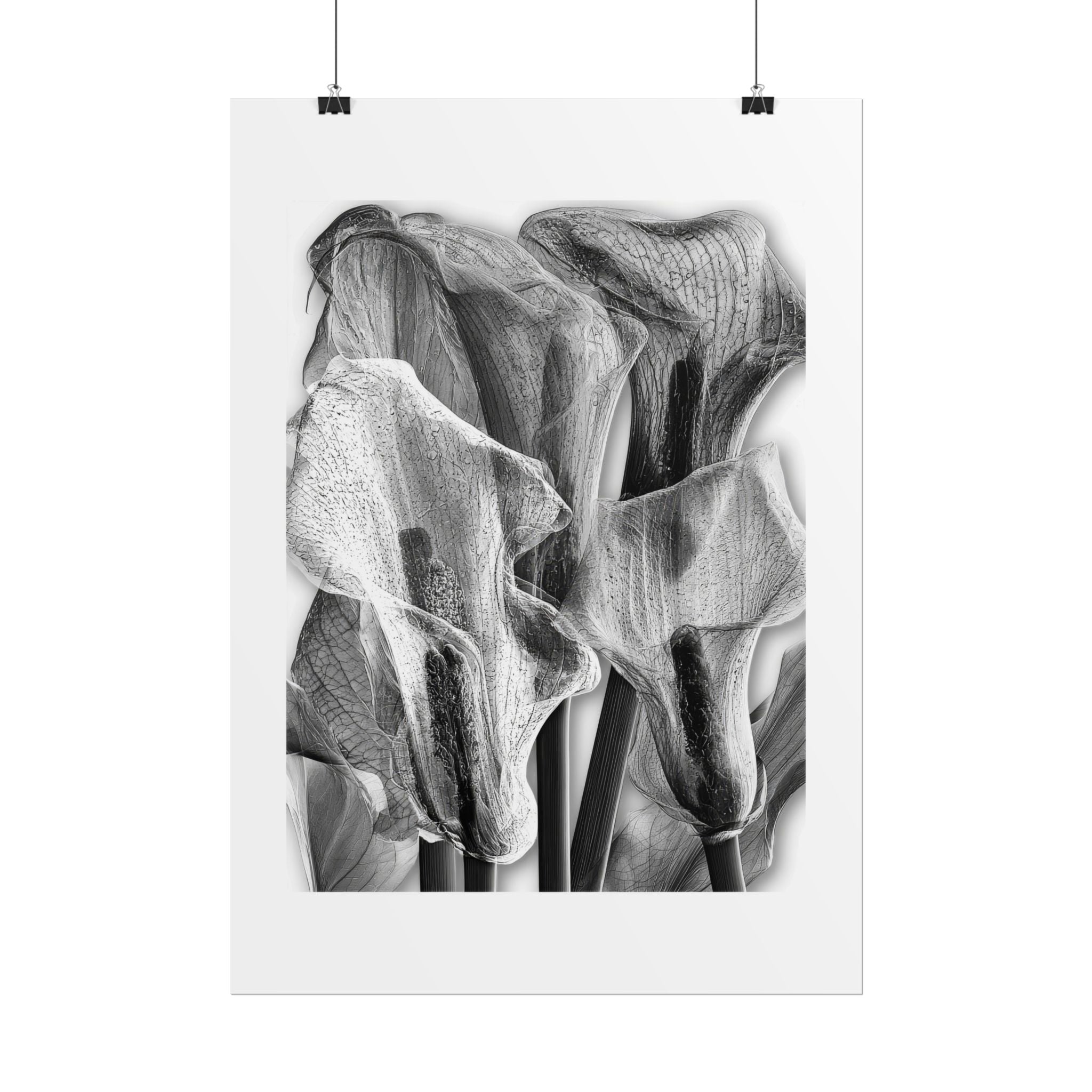 Black & White Calla Lily Poster — Minimal Floral Wall Art, Rolled Art Print for Living Room & Bedroom