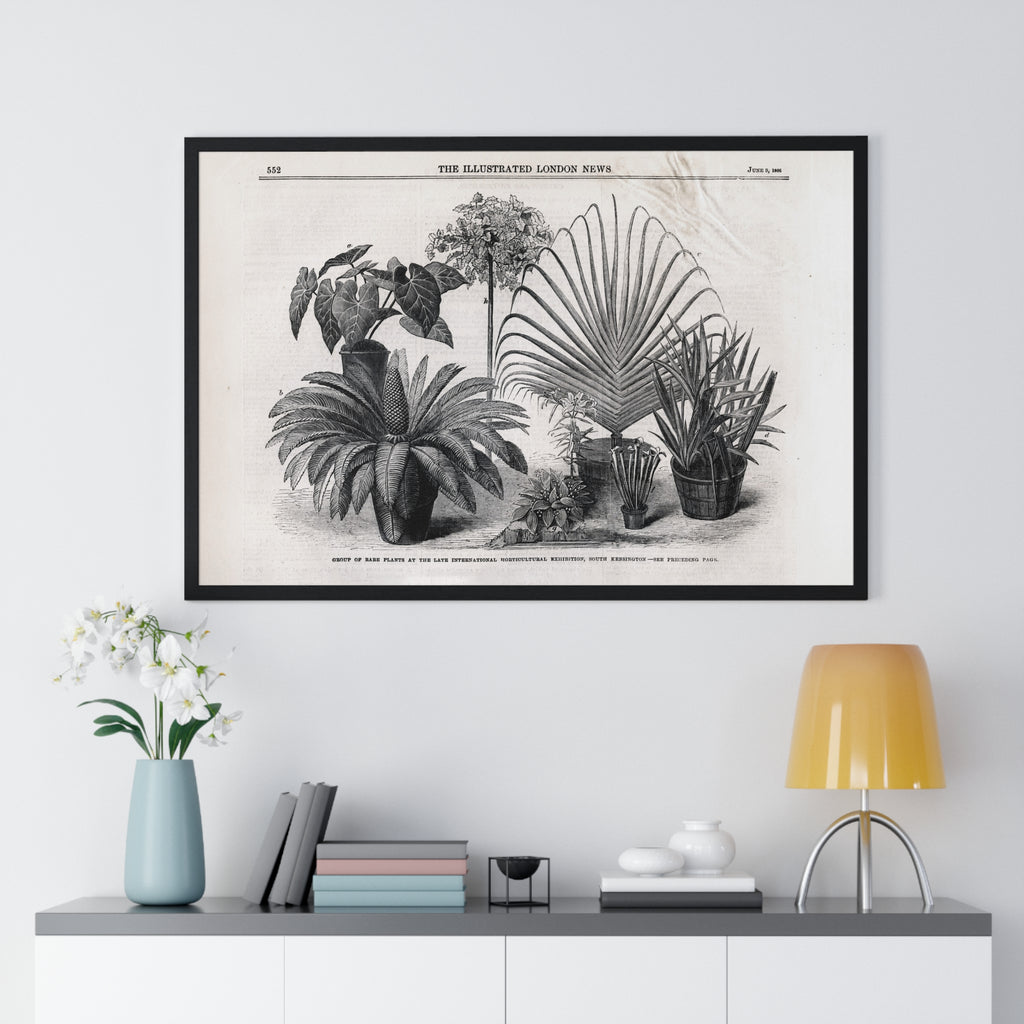 Vintage Botanical Print Framed Poster — Antique Plant Illustration