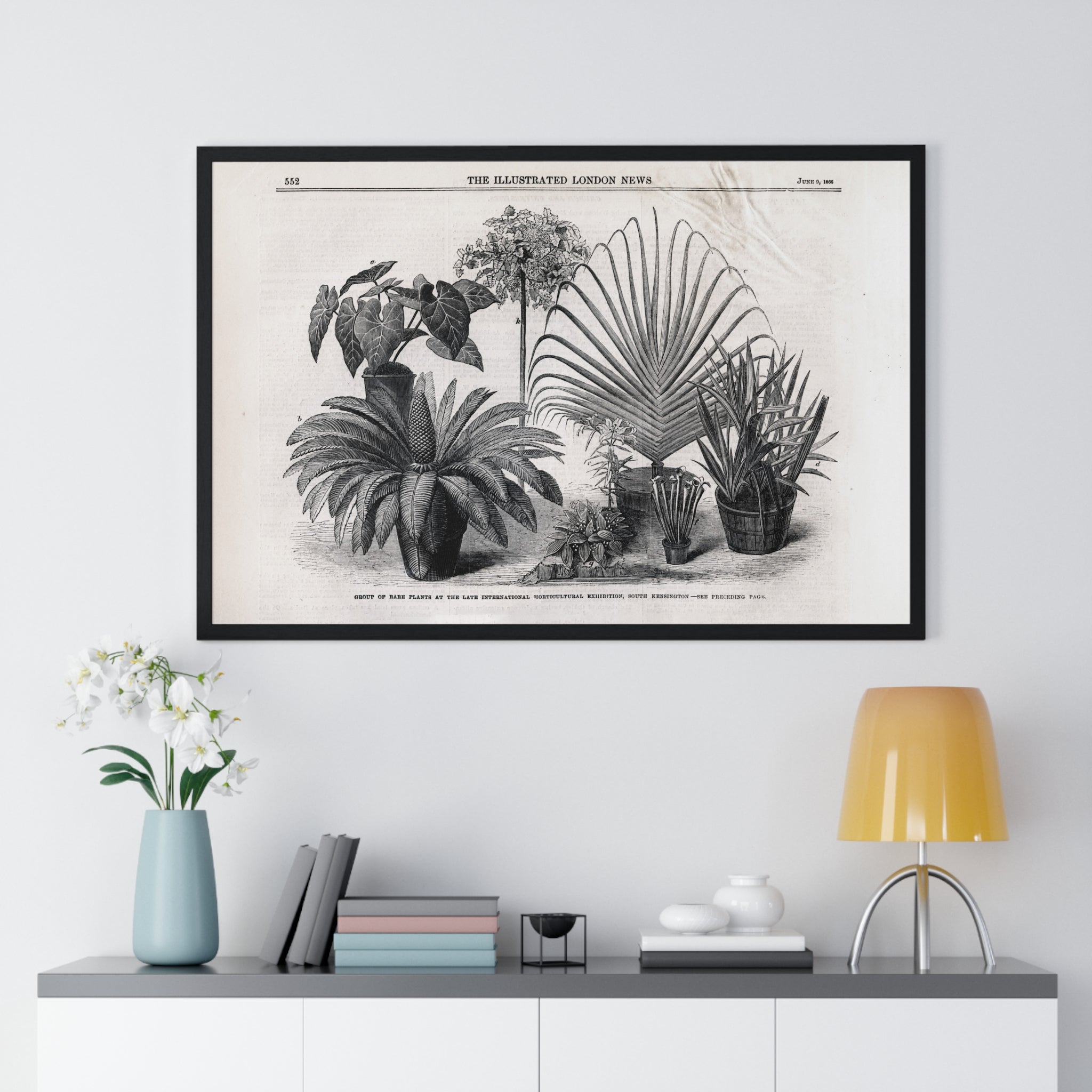 Vintage Botanical Print Framed Poster — Antique Plant Illustration