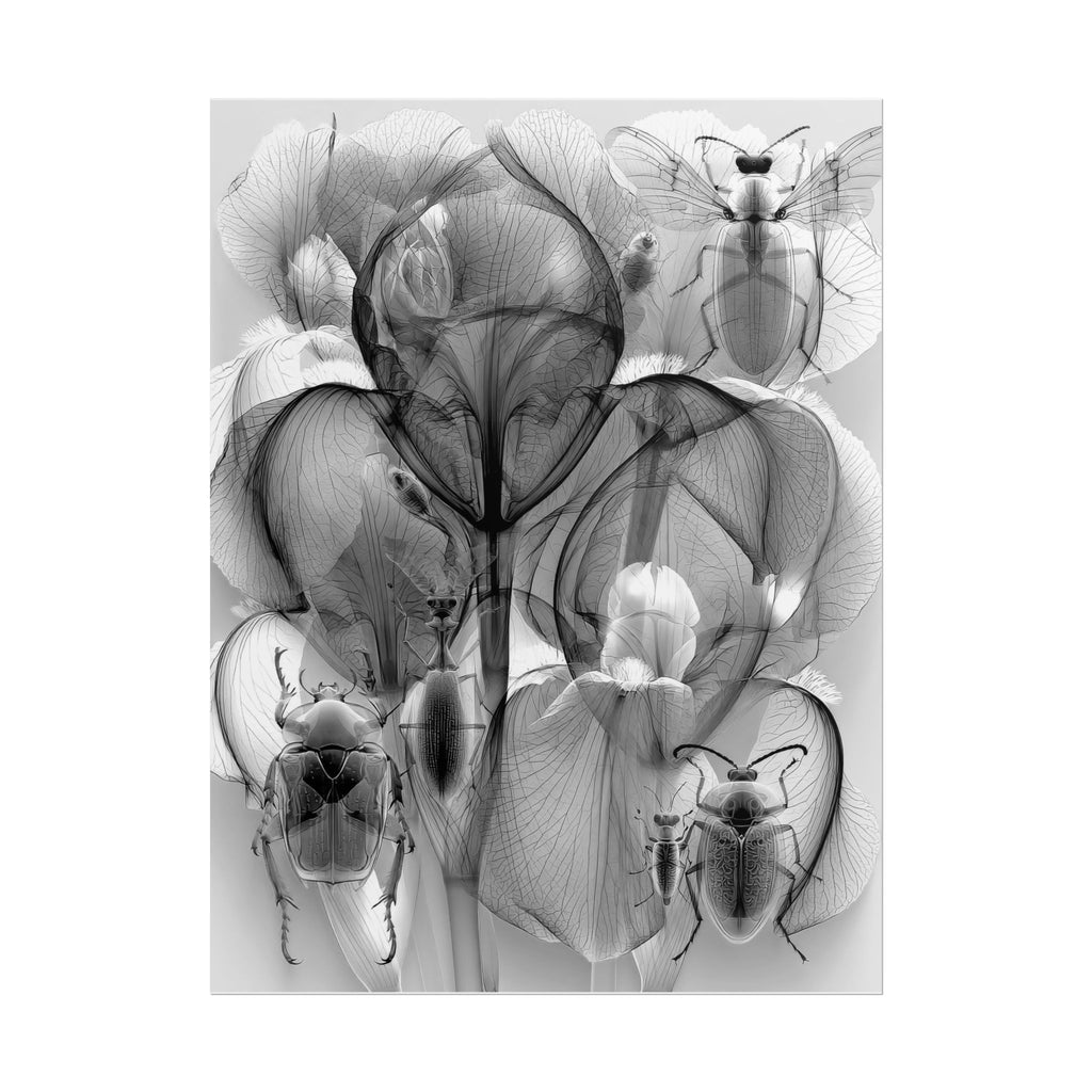 Orchid X-Ray Art Poster — Monochrome Floral Insect Wall Print