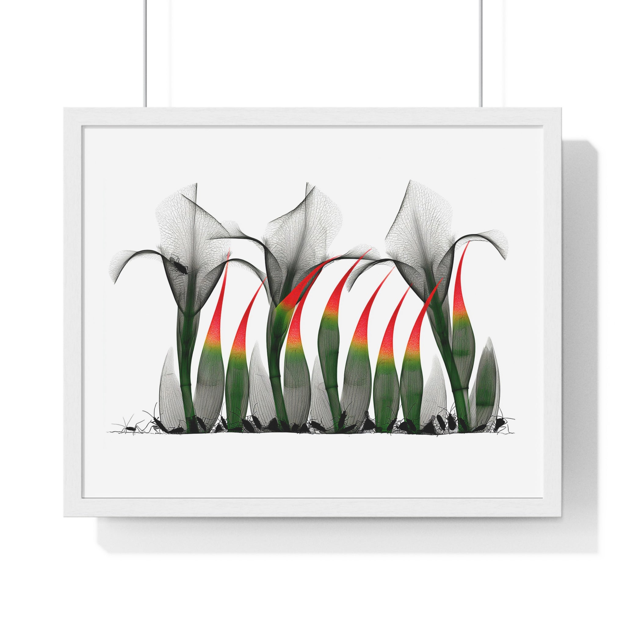 Framed Poster - Abstract Botanical Calla Lily Art with Red & Green Accents