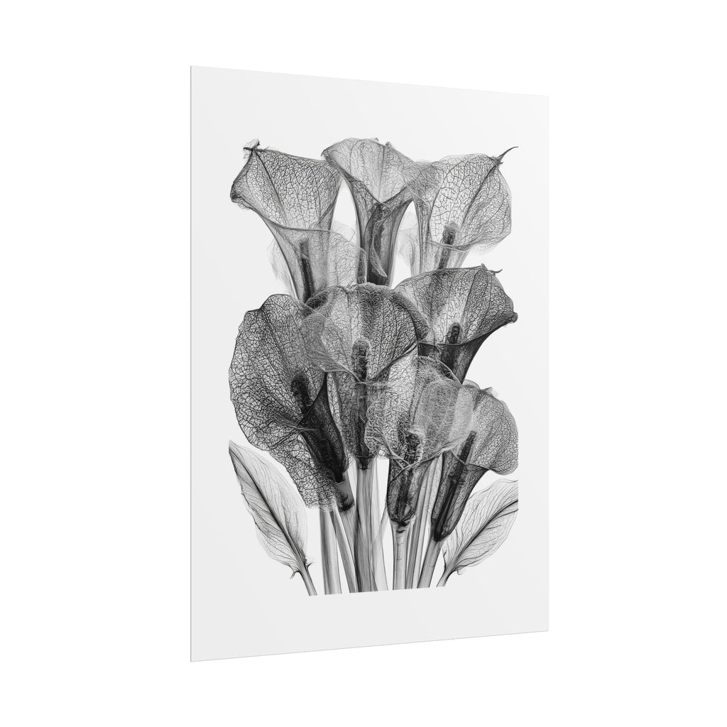 Rolled Poster - Black & White X-Ray Calla Lily Botanical Print