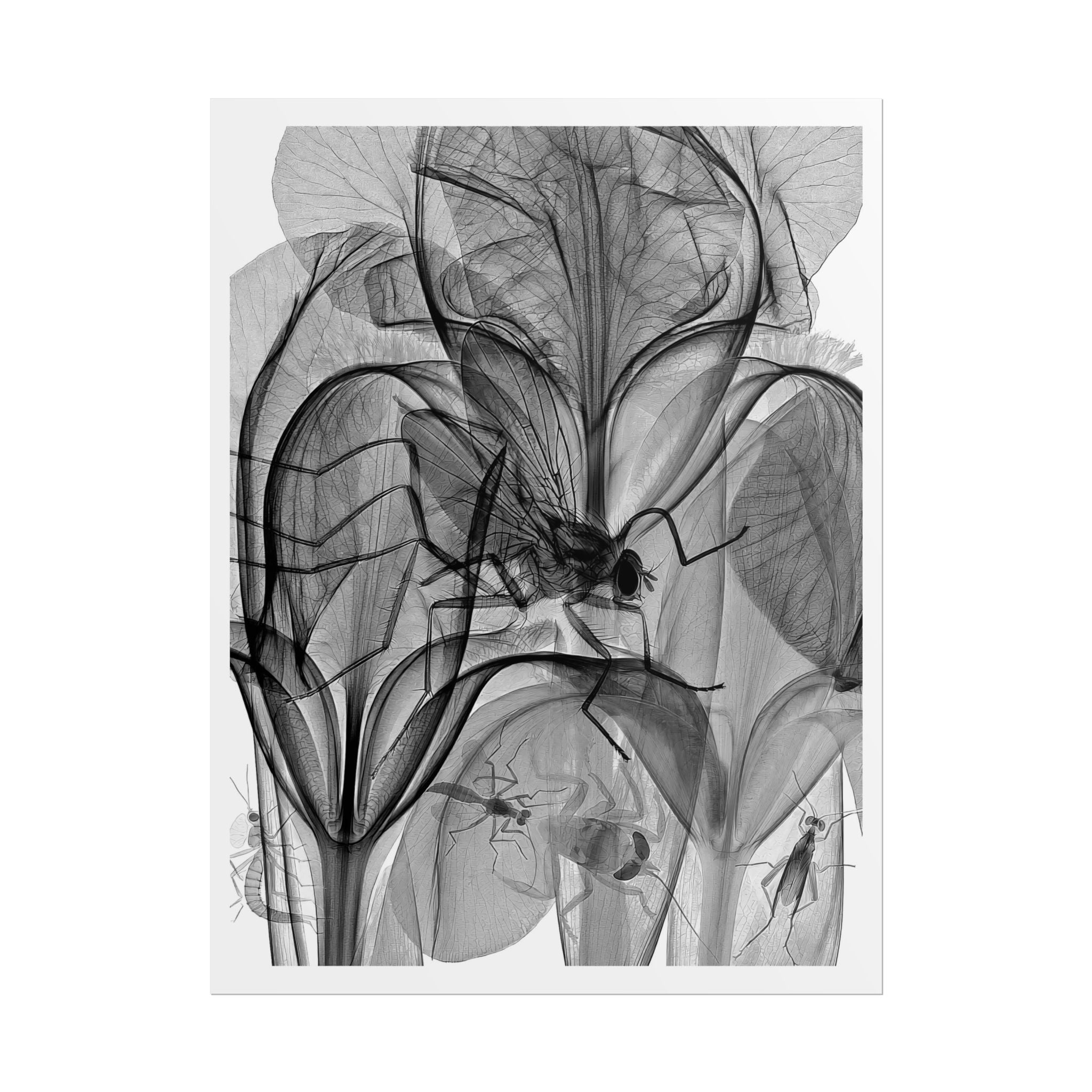 Botanical X-Ray Art Poster — Monochrome Floral Rolled Print
