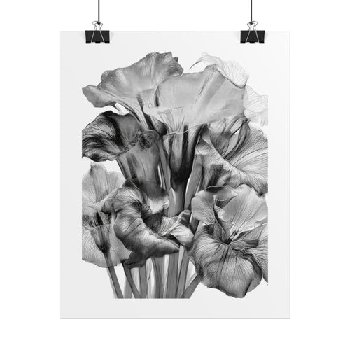 Black & White Iris Botanical Poster — Monochrome Floral Wall Art (Rolled Poster)