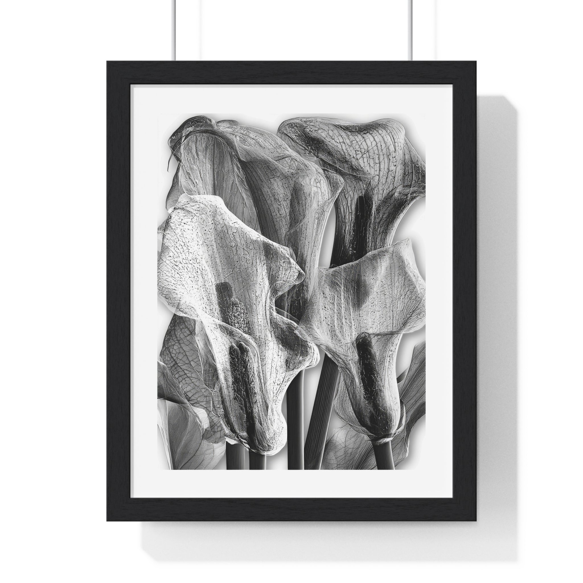 Black & White Calla Lily Framed Poster