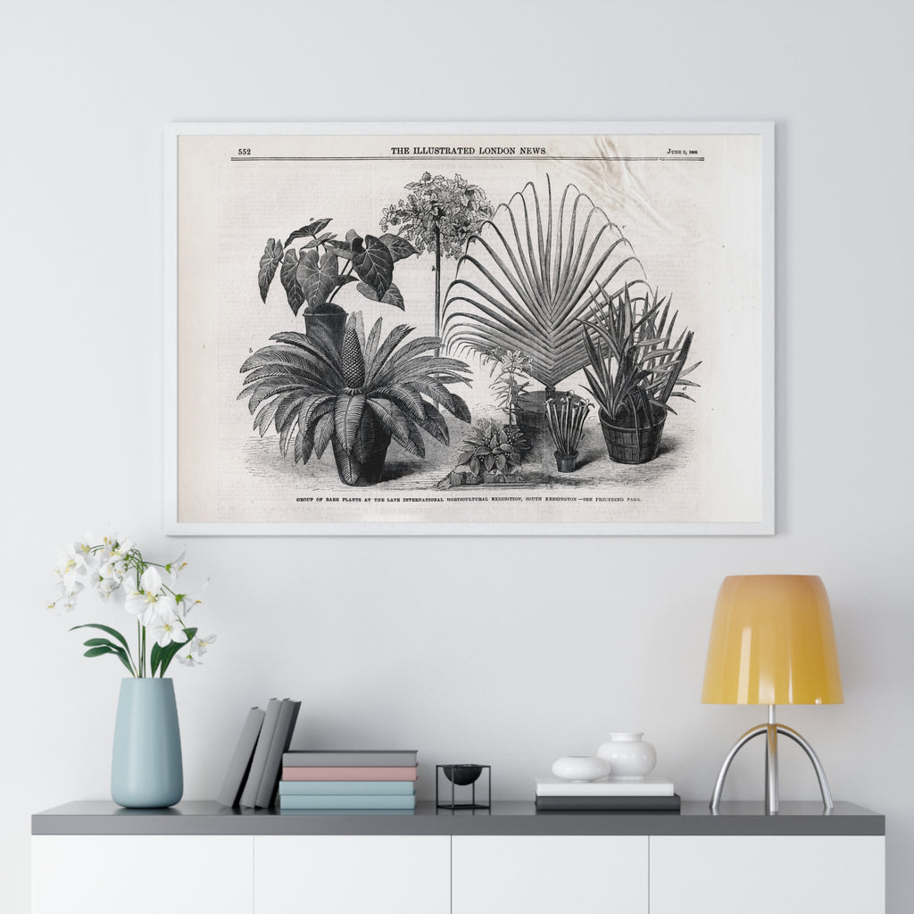 Vintage Botanical Print Framed Poster — Antique Plant Illustration