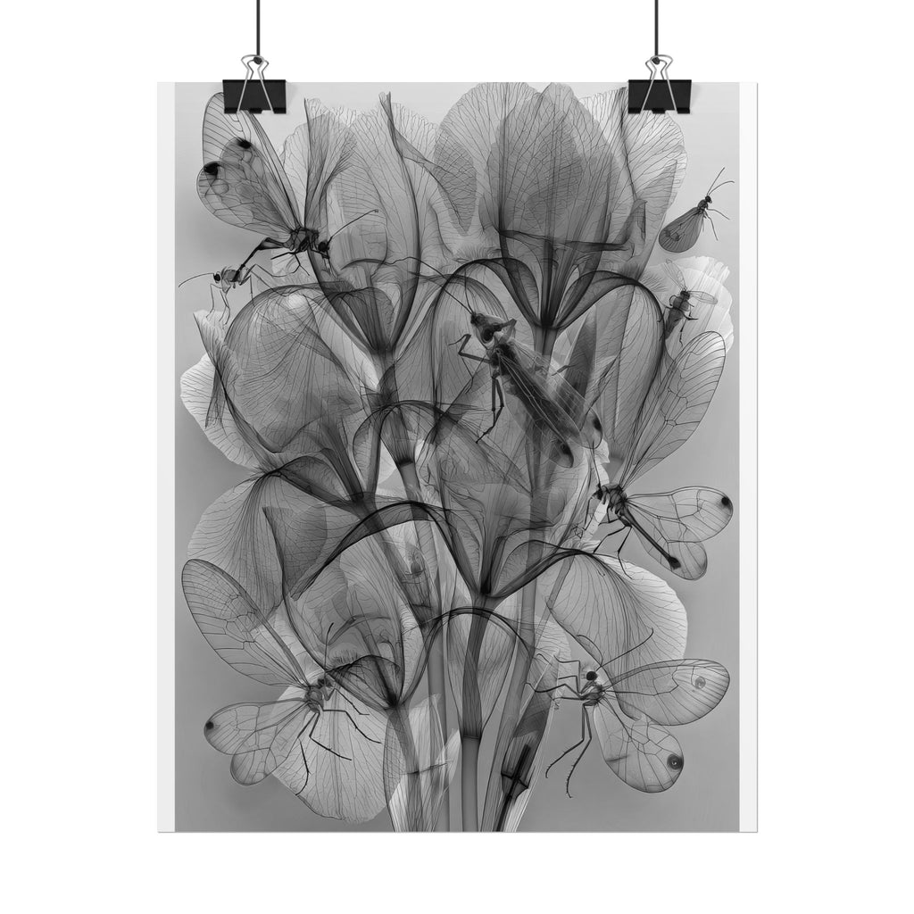 Botanical X-Ray Poster — Monochrome Floral Wall Art, Rolled Art Print