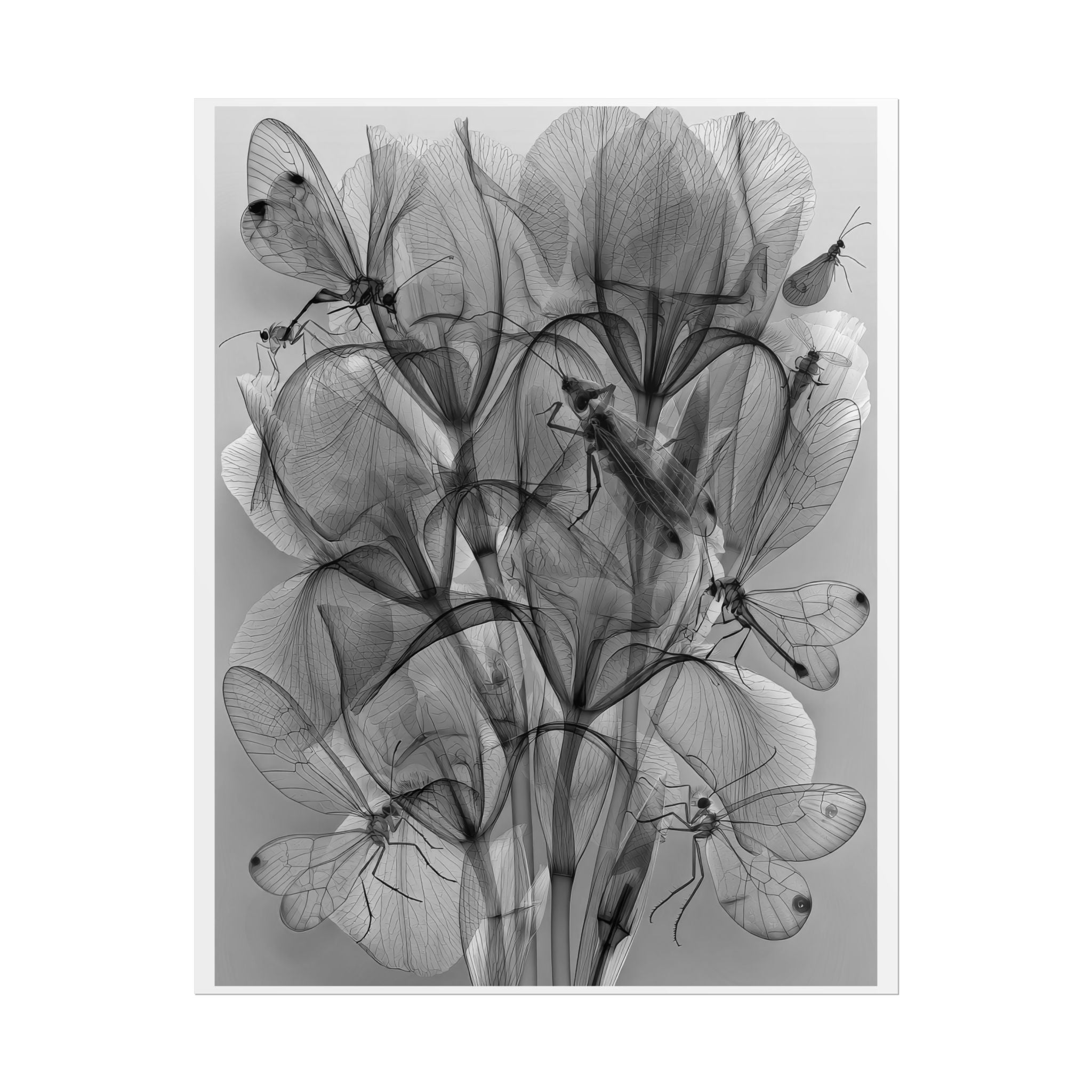 Botanical X-Ray Poster — Monochrome Floral Wall Art, Rolled Art Print