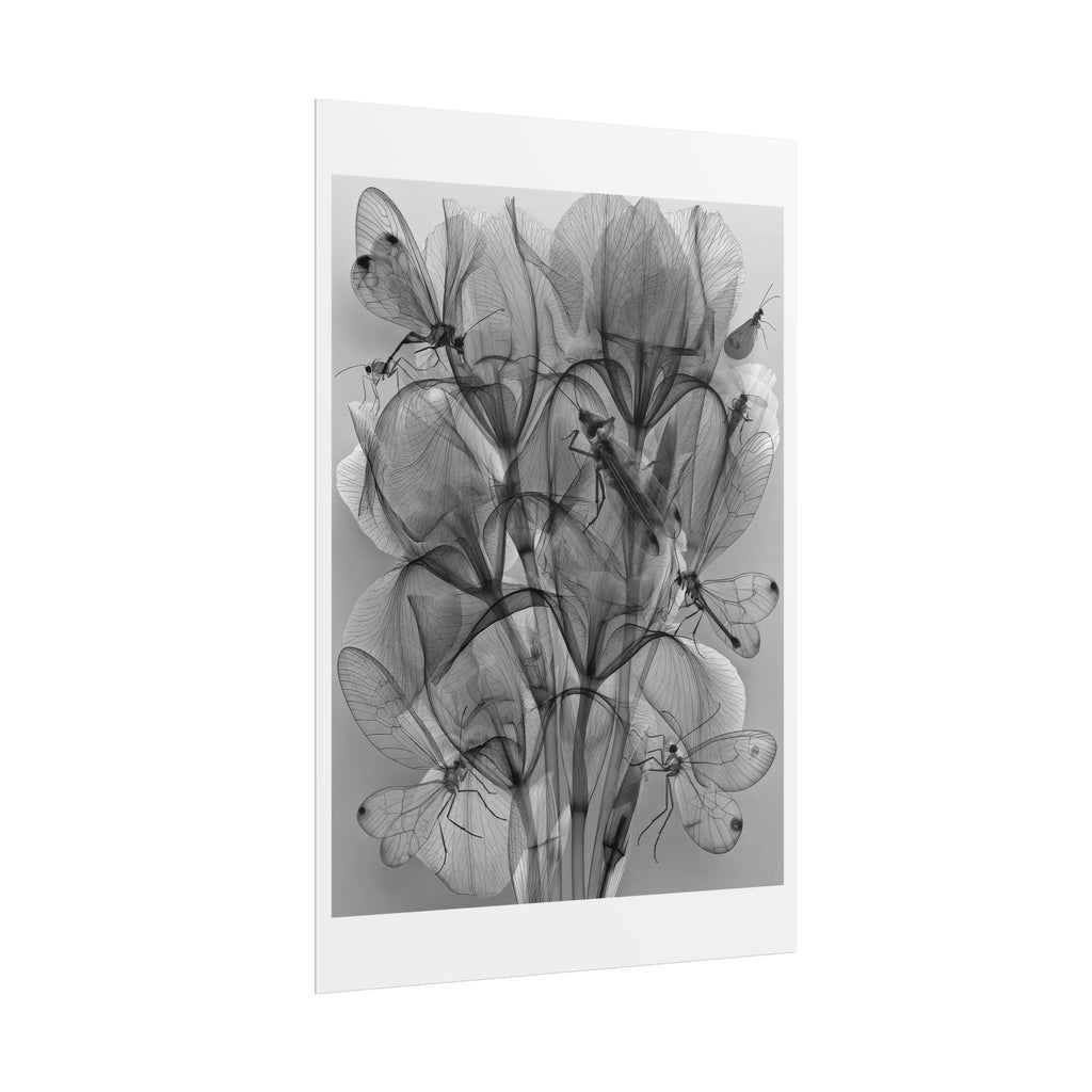 Botanical X-Ray Poster — Monochrome Floral Wall Art, Rolled Art Print