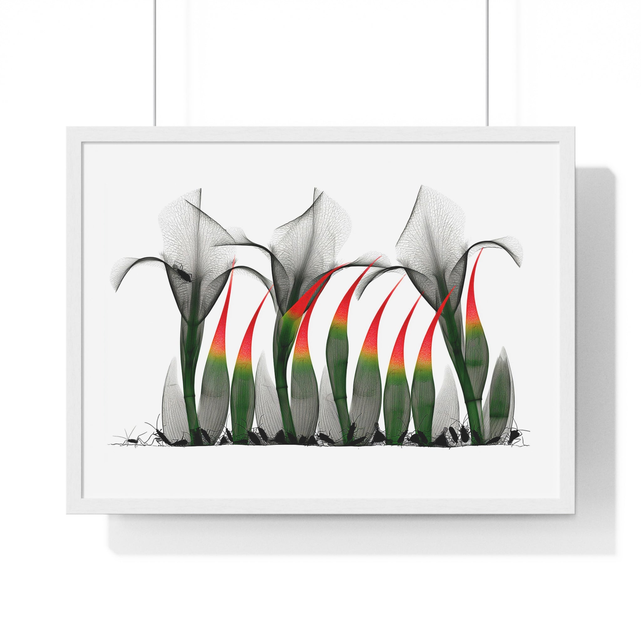 Framed Poster - Abstract Botanical Calla Lily Art with Red & Green Accents