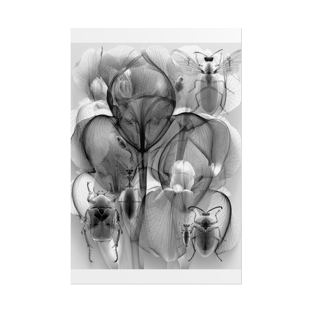 Orchid X-Ray Art Poster — Monochrome Floral Insect Wall Print