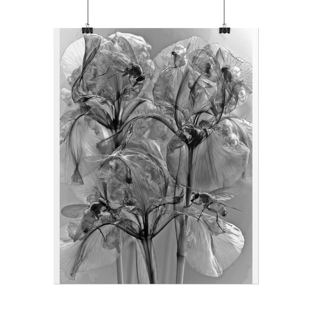 Rolled Poster — Monochrome X-Ray Floral Art Print