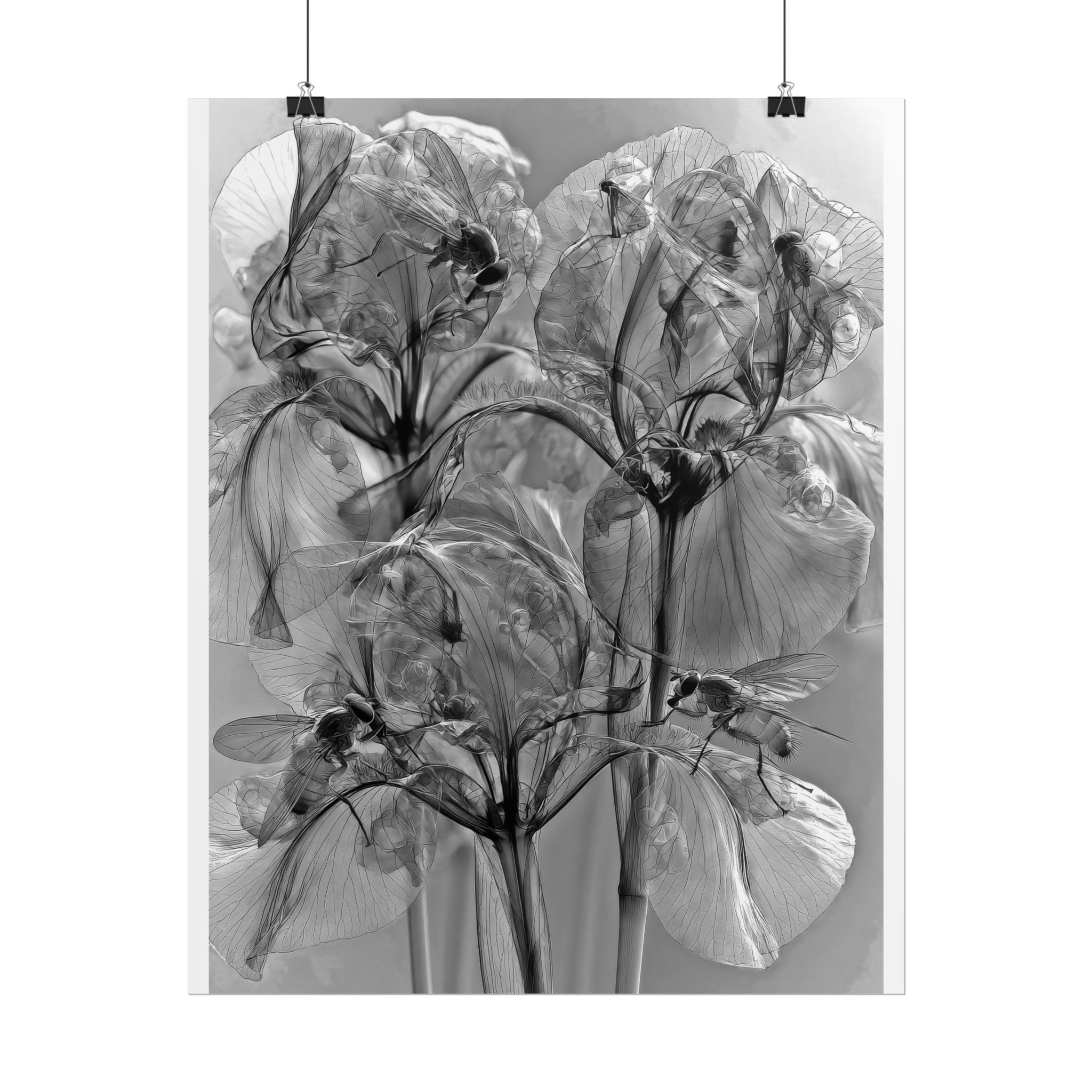 Rolled Poster — Monochrome X-Ray Floral Art Print