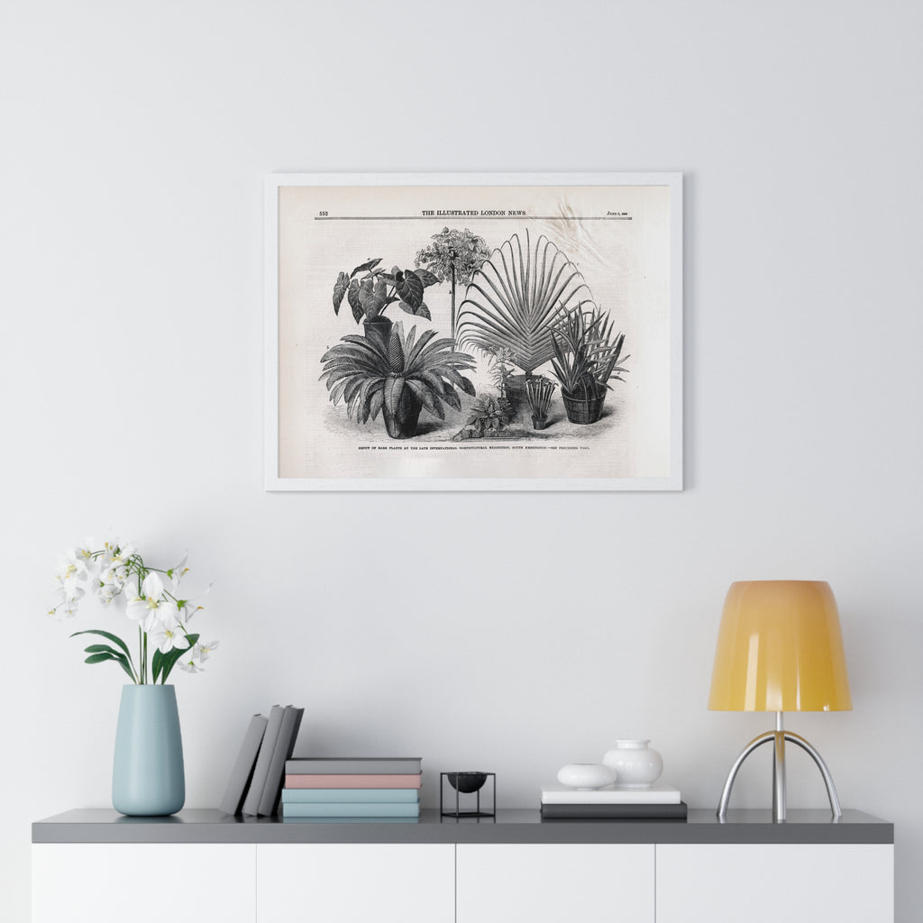 Vintage Botanical Print Framed Poster — Antique Plant Illustration